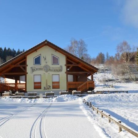 Le Chalet Du Bucheron Gérardmer Extérieur photo